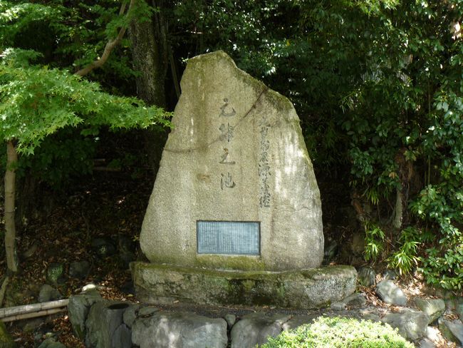 ���̏h�E�����r