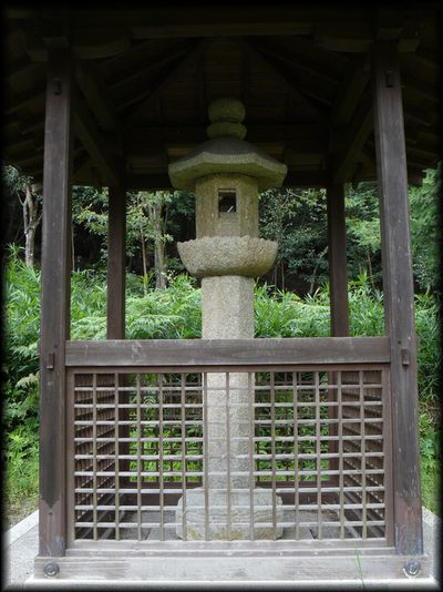 ���̏h�E�Γ���