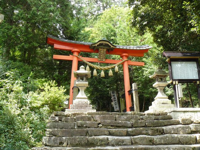 ���̏h�E���_��