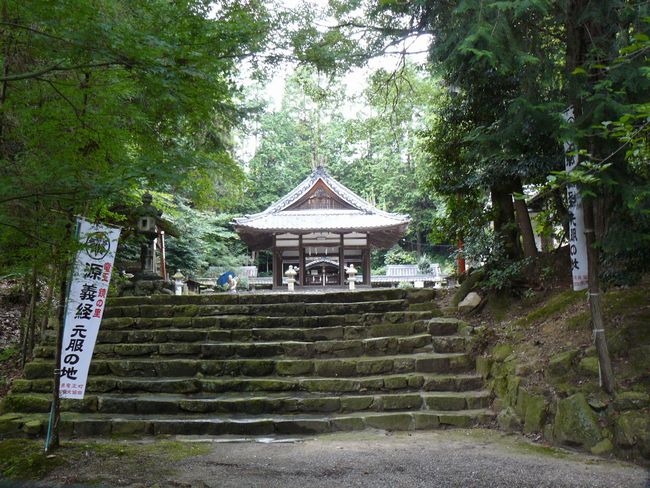 ���̏h�E���_��