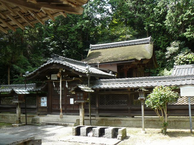 ���̏h�E���_��