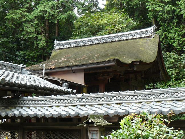 ���̏h�E���_��