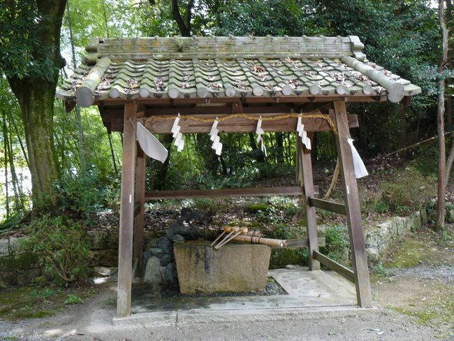 ���̏h�E���_��