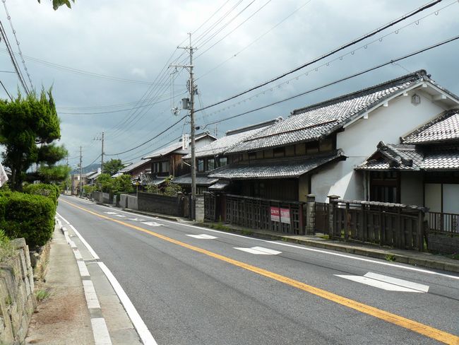 ���̏h�E������