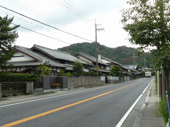 ���̏h�E������