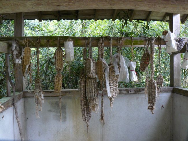 ���̏h�E�m����