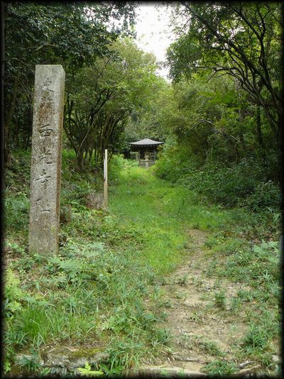 ���̏h�E��������