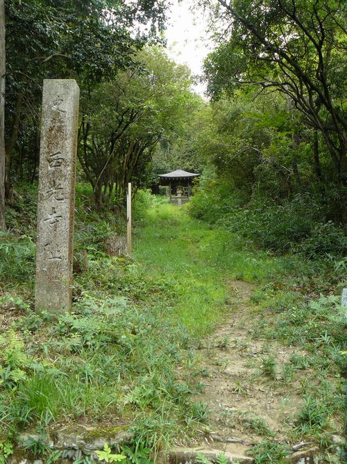 ���̏h�E��������