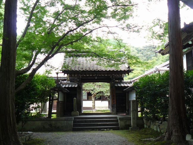 �Č��h�E�ݎ�