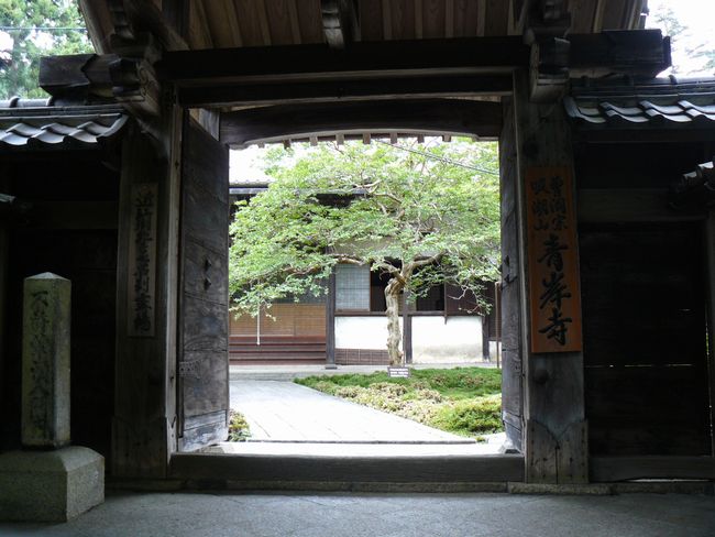 �Č��h�E�ݎ�