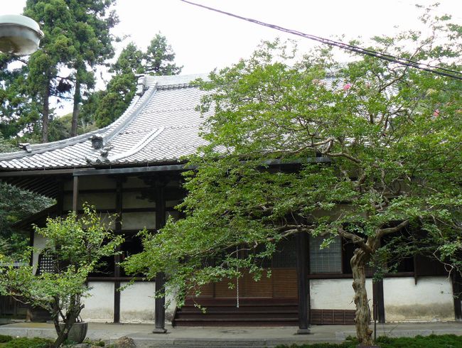 �Č��h�E�ݎ�