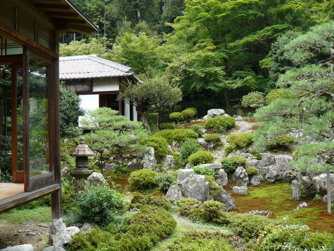 �Č��h�E�ݎ�