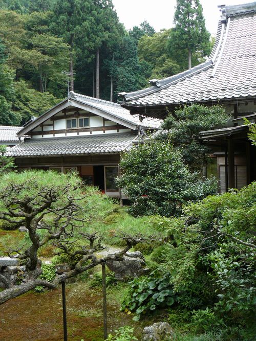 �Č��h�E�ݎ�