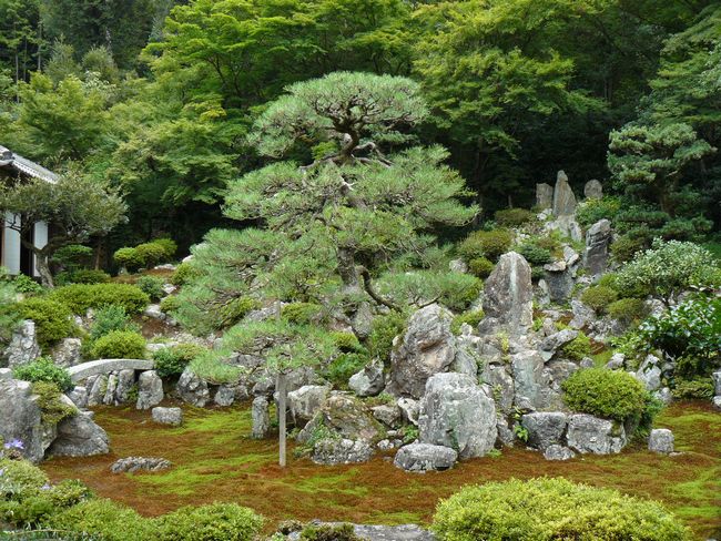 �Č��h�E�ݎ�