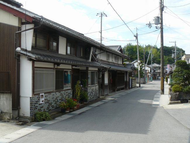 �Č��h�E������