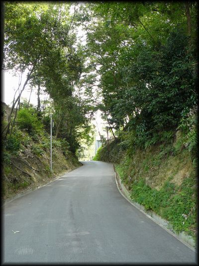 �Č��h�E�[�⓹