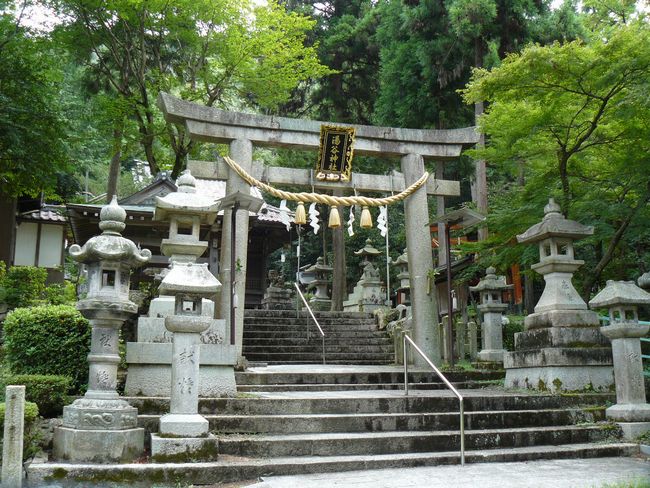 �Č��h�E���J�_��