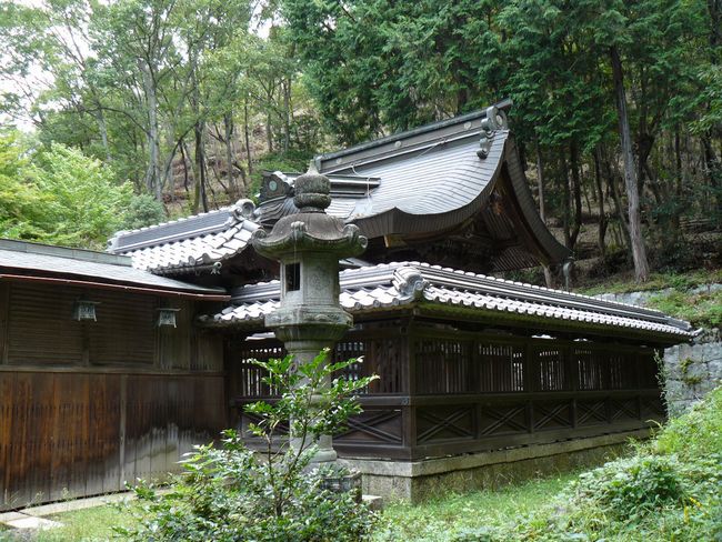 �Č��h�E���J�_��