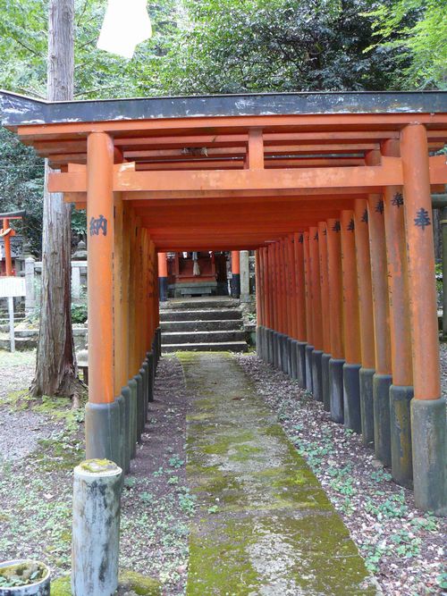 �Č��h�E���J�_��