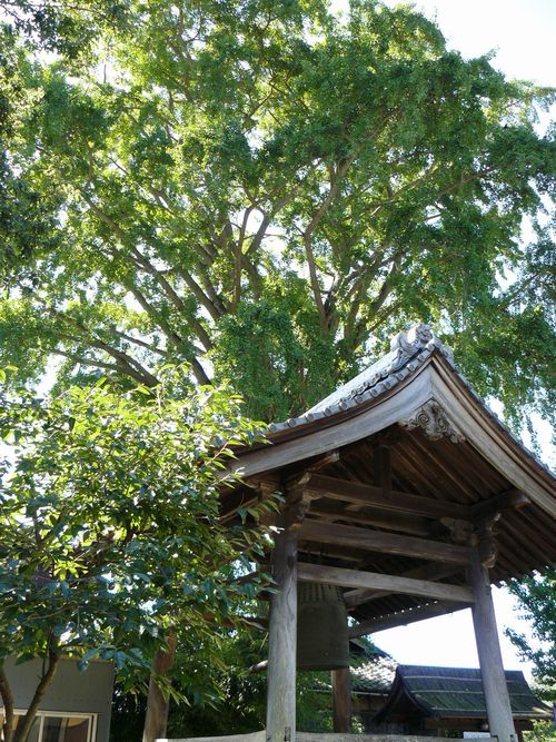 ����h�E��t�����