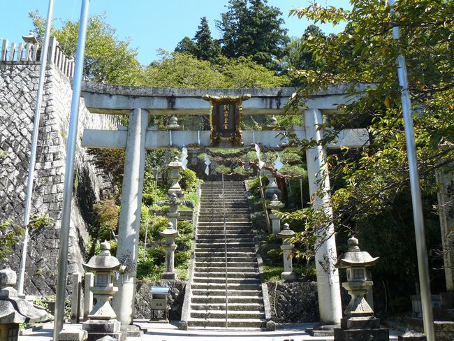 ����h�E������