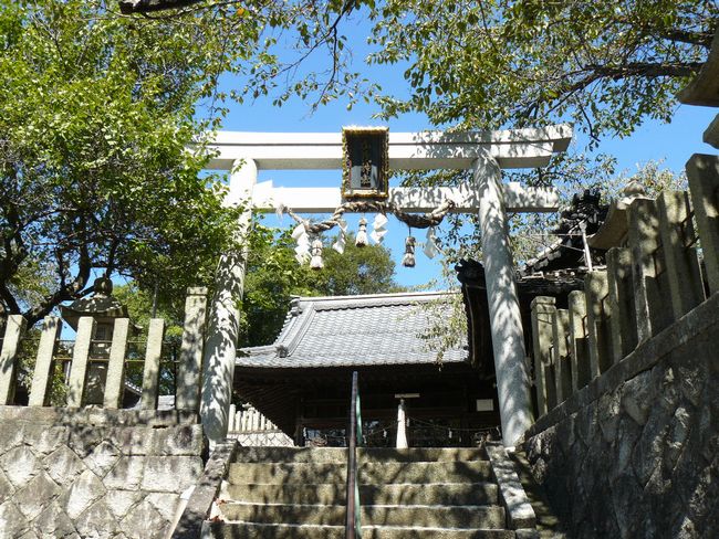 ����h�E������