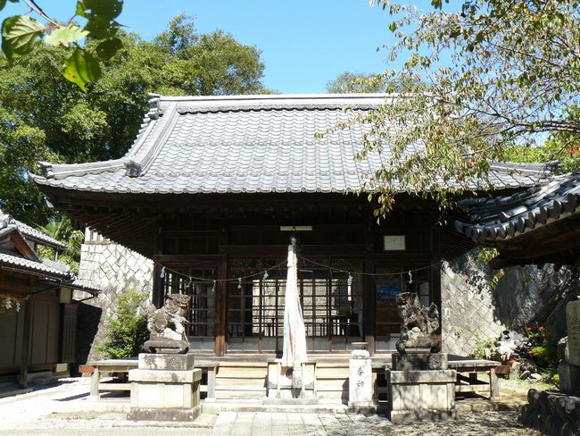 ����h�E������