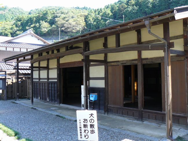 ����h�E�≮��