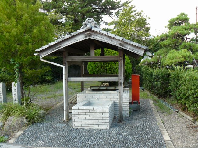 �y�R�h�E������