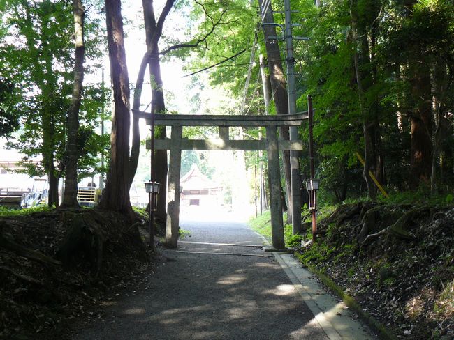 �c���_��