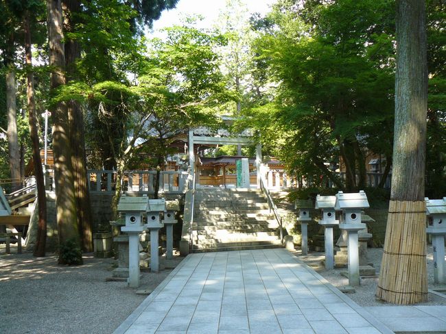 �c���_��