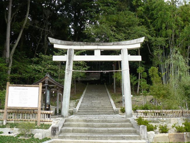 ��Îs���c�E���쓹���_��