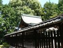 伊豆神社本殿左斜め前方と玉垣（板塀）