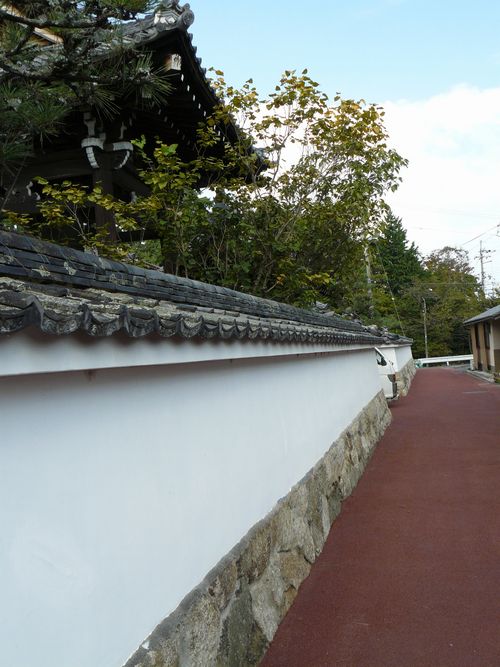 ��Îs���c�E������