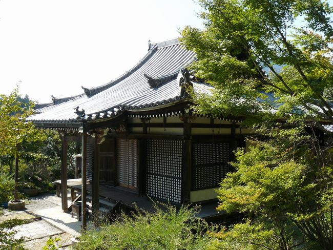 ��Îs�E�o������