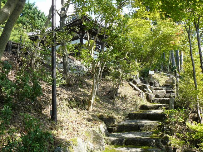 ��Îs�E�o������