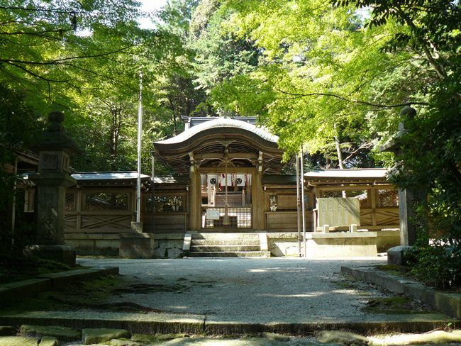 ��Îs���c�E�����_��