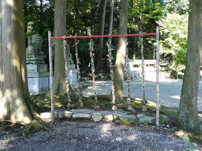 ��Îs���c�E�����_��