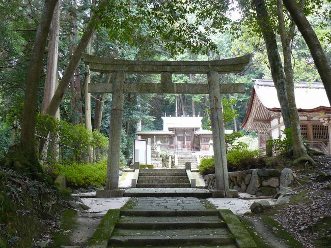 ��Îs���c�E����_��