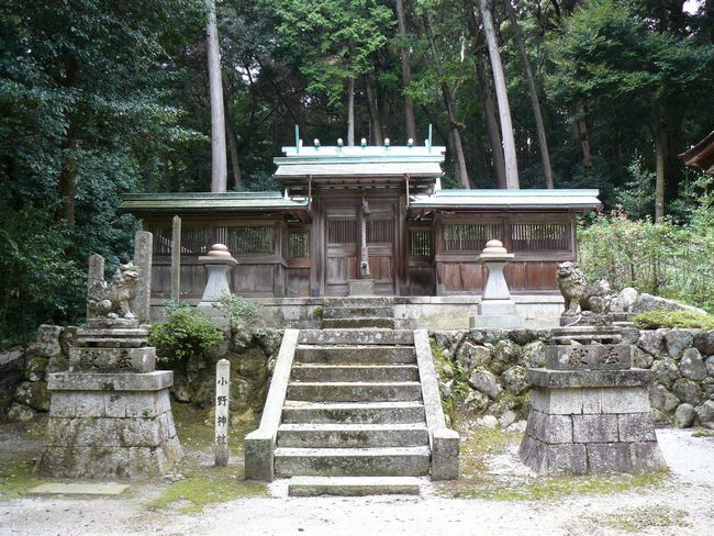 ��Îs���c�E����_��