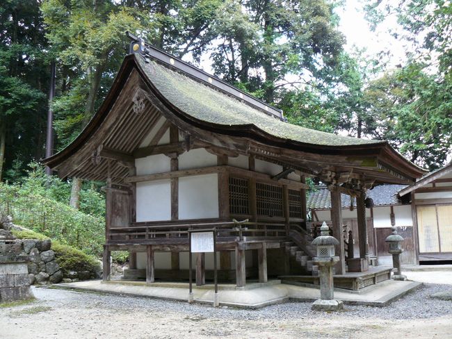 ��Îs���c�E����_��