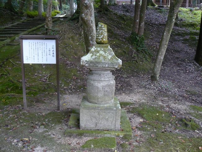 ��Îs���c�E����_��