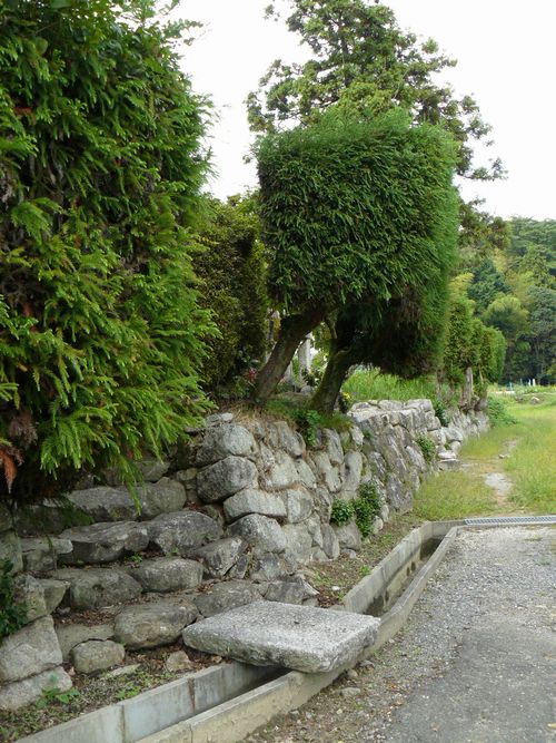 ��Îs���c�E���ݎ�