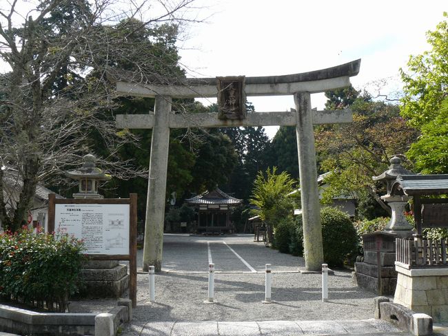 ��Îs���c�E�V�c�_��