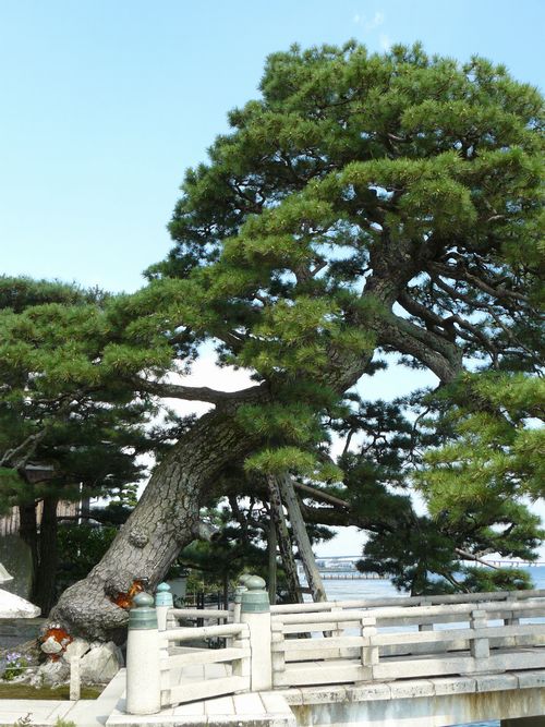 ��Îs���c�E���䓰