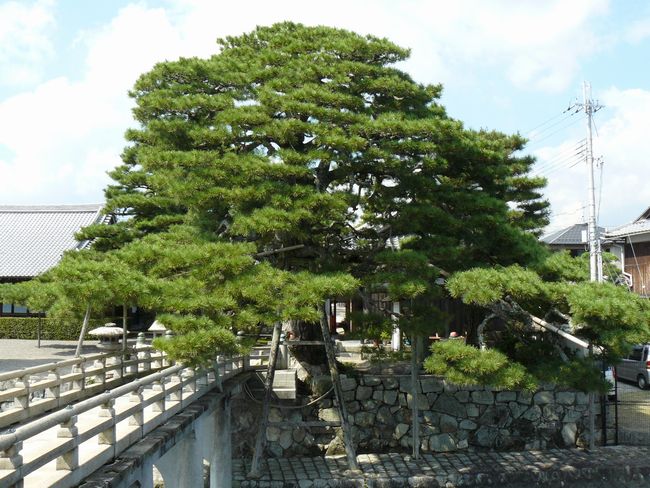 ��Îs���c�E���䓰