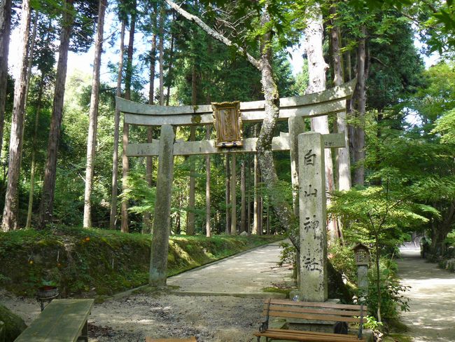 ���R�_��