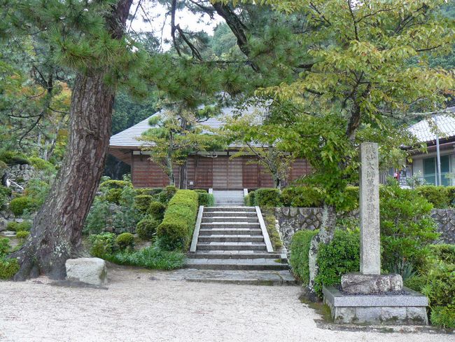 �Γ�s�E������