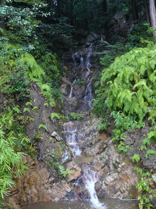 �Γ�s�E������