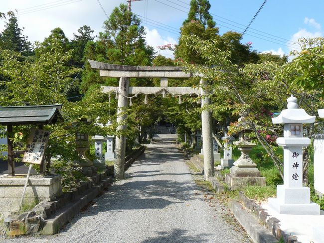 �g��q�_��